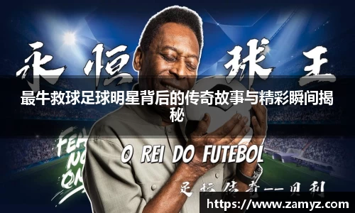 九游体育官方网站